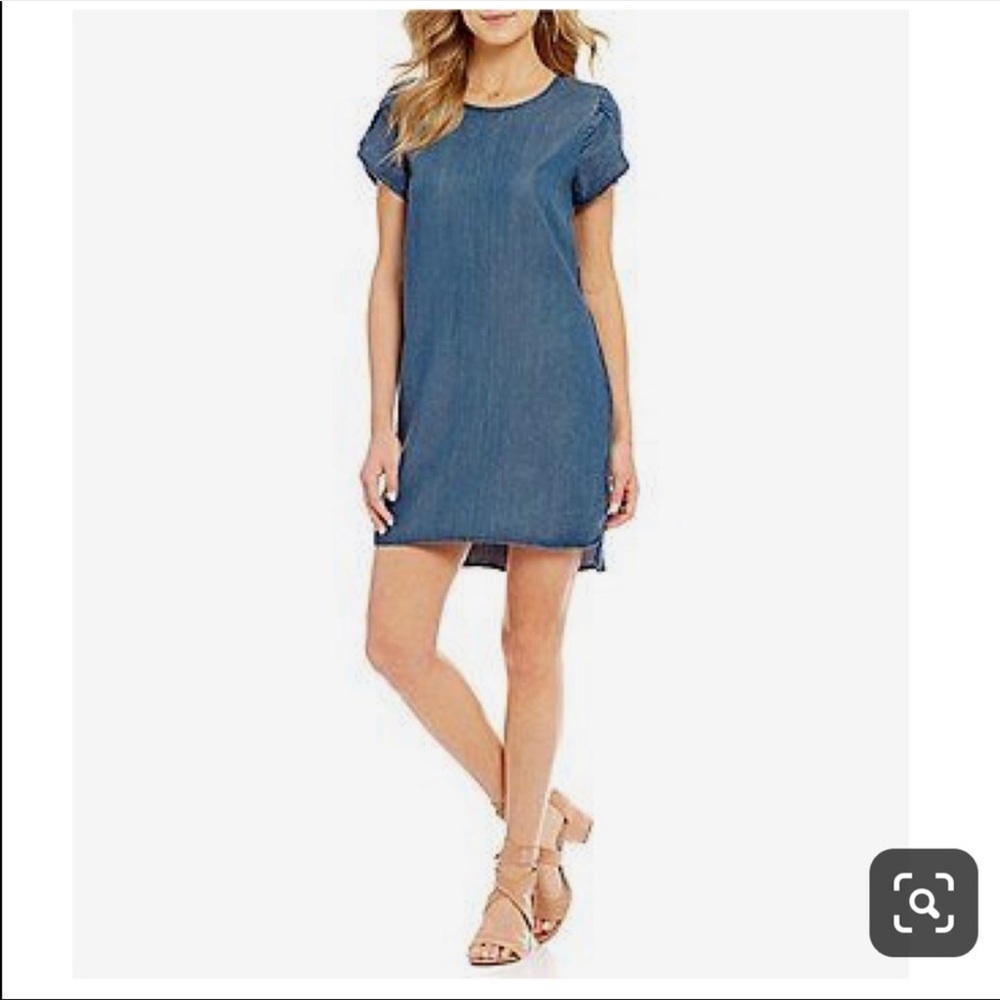 Cremieux Annie Chambray Dress, Size S